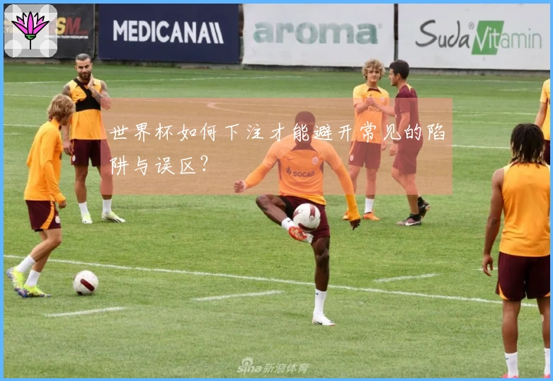 世界杯如何下注才能避开常见的陷阱与误区？